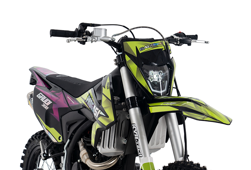 gaudi_300_purple_green_04 1